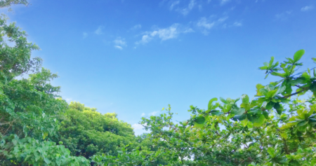 Vol.5 海鮮巻芯 ５月 行楽シーズン