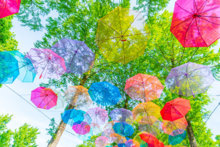 ＜食品製造業応援ブログ＞Vol.7 うどんと餃子　７月 ニーズに合った調理に対応