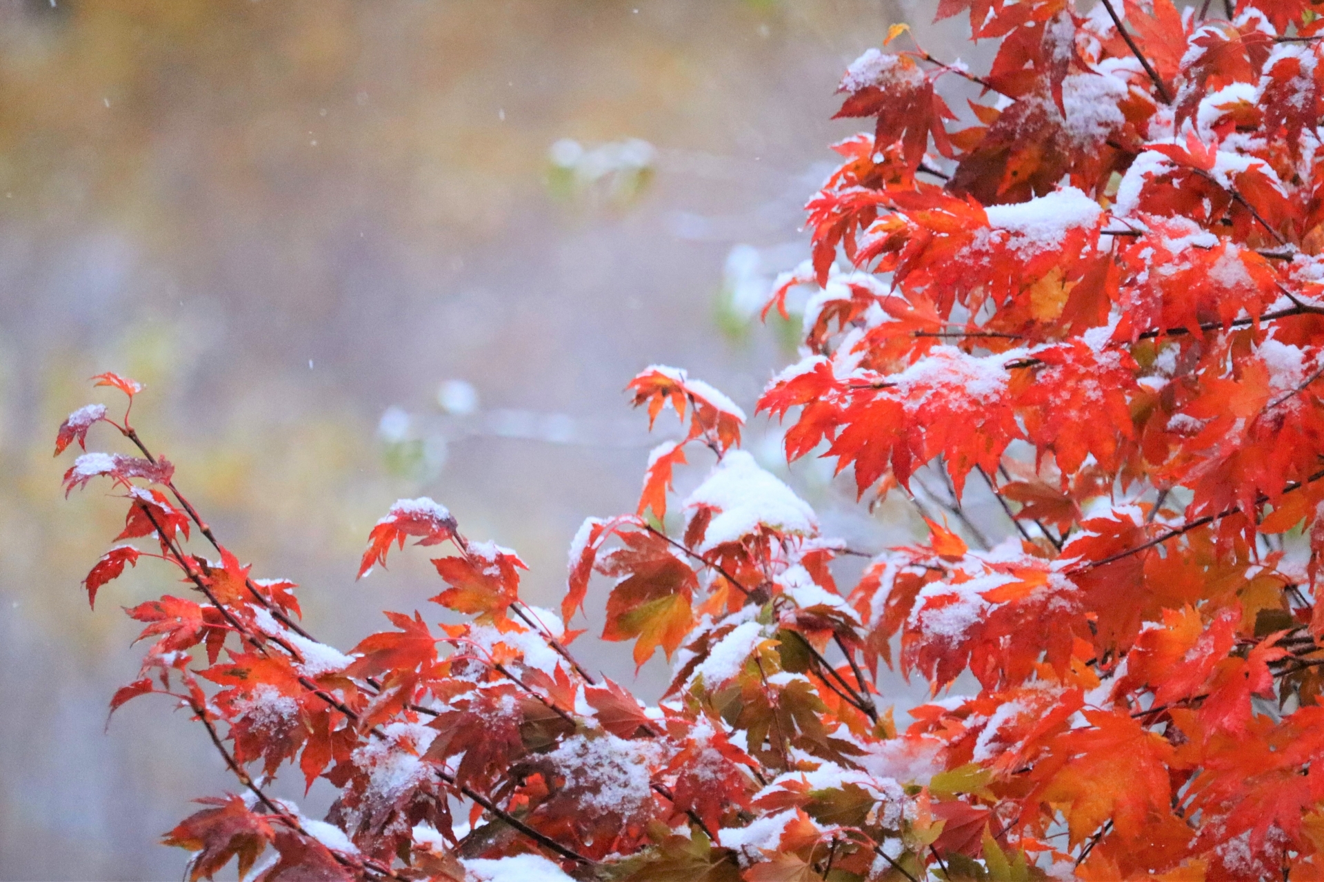 ＜食品製造業応援ブログ＞Vol.12 ちくわ　１２月 おでん用のちくわ